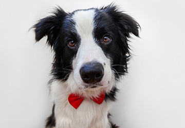 BATH & TIDY PACKAGES